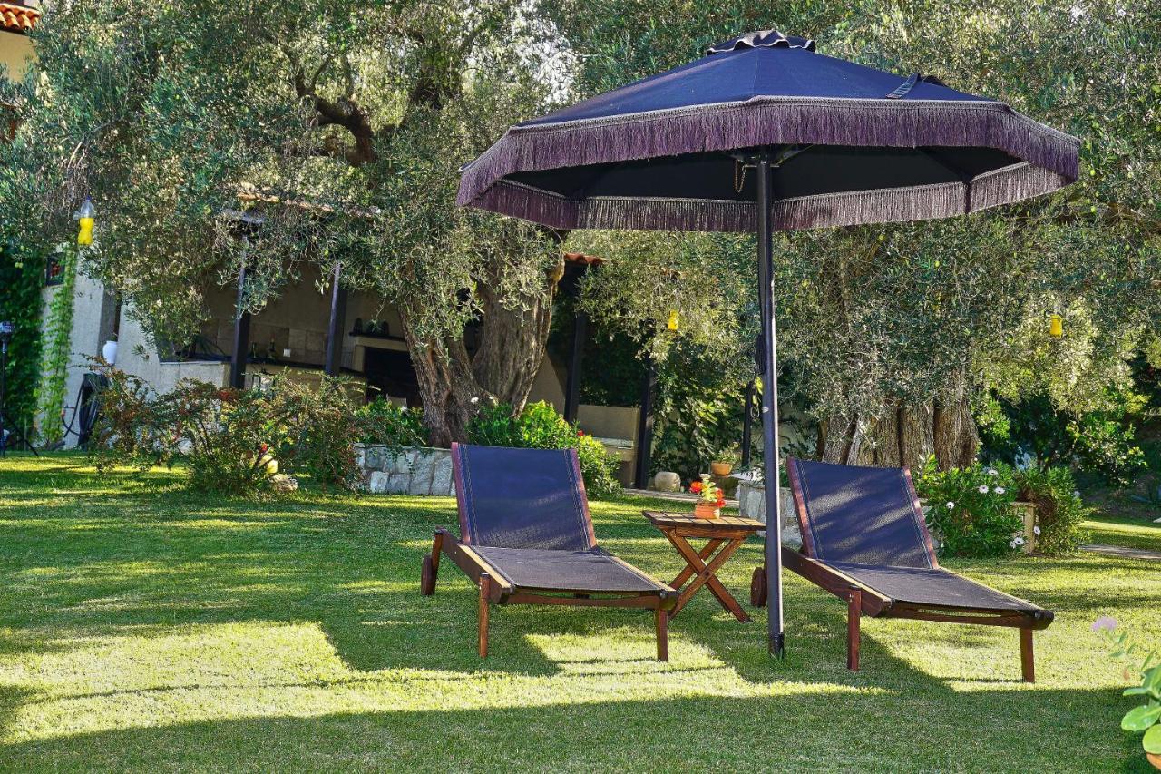 Villa The Cosy Olive Ormos Panagias Bagian luar foto